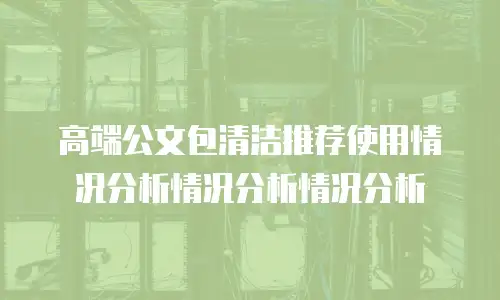 高端公文包清洁推荐使用情况分析情况分析情况分析