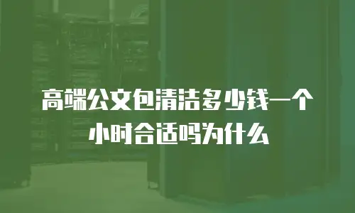 高端公文包清洁多少钱一个小时合适吗为什么