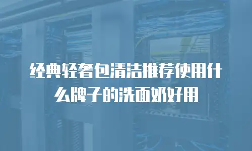 经典轻奢包清洁推荐使用什么牌子的洗面奶好用