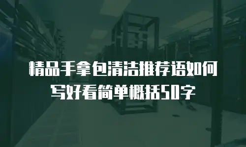 精品手拿包清洁推荐语如何写好看简单概括50字