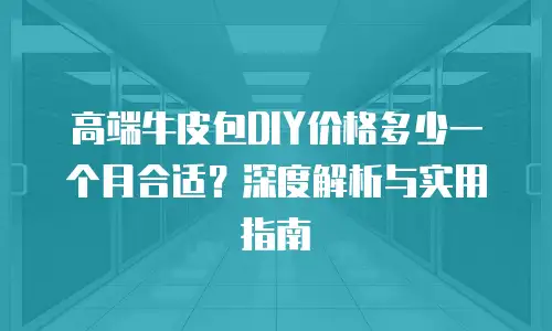 高端牛皮包DIY价格多少一个月合适？深度解析与实用指南