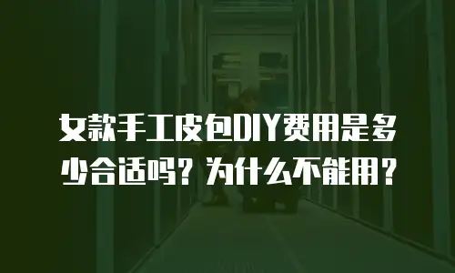 女款手工皮包DIY费用是多少合适吗？为什么不能用？