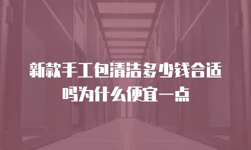 新款手工包清洁多少钱合适吗为什么便宜一点