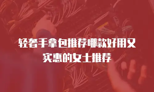 轻奢手拿包推荐哪款好用又实惠的女士推荐
