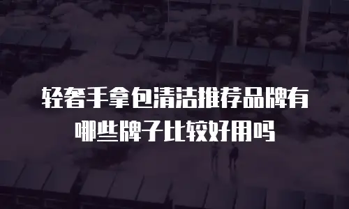 轻奢手拿包清洁推荐品牌有哪些牌子比较好用吗
