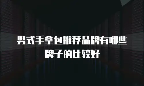 男式手拿包推荐品牌有哪些牌子的比较好
