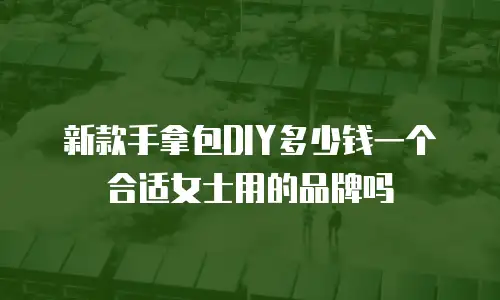 新款手拿包DIY多少钱一个合适女士用的品牌吗