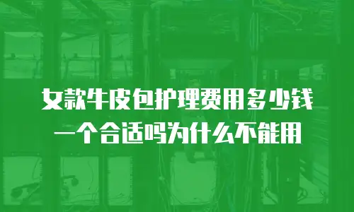 女款牛皮包护理费用多少钱一个合适吗为什么不能用