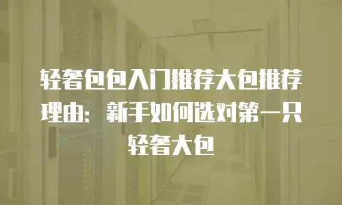 轻奢包包入门推荐大包推荐理由：新手如何选对第一只轻奢大包