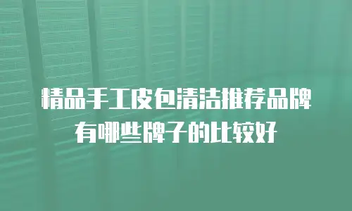 精品手工皮包清洁推荐品牌有哪些牌子的比较好