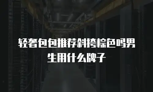 轻奢包包推荐斜挎棕色吗男生用什么牌子