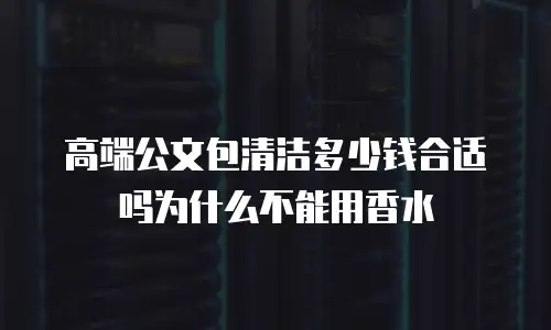 高端公文包清洁多少钱合适吗为什么不能用香水