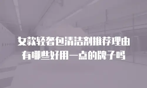 女款轻奢包清洁剂推荐理由有哪些好用一点的牌子吗