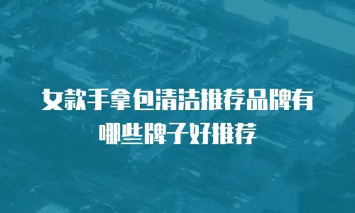 女款手拿包清洁推荐品牌有哪些牌子好推荐