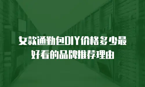 女款通勤包DIY价格多少最好看的品牌推荐理由