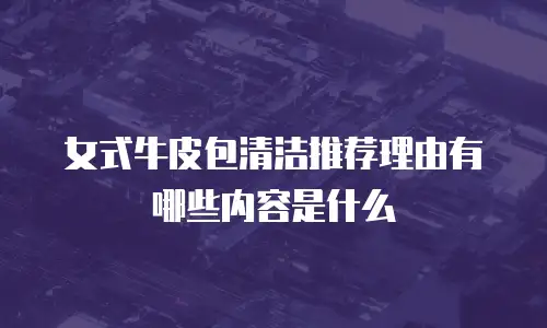 女式牛皮包清洁推荐理由有哪些内容是什么