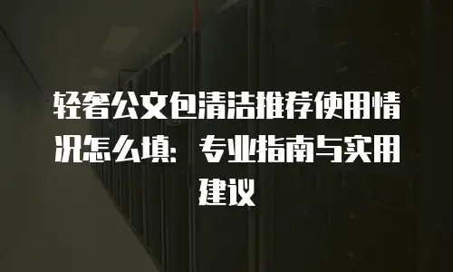 轻奢公文包清洁推荐使用情况怎么填：专业指南与实用建议