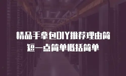 精品手拿包DIY推荐理由简短一点简单概括简单