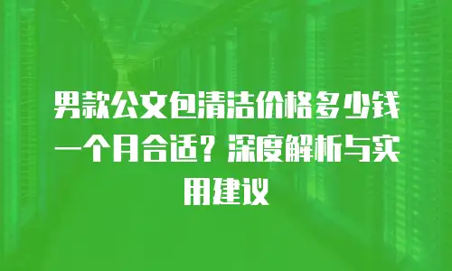 男款公文包清洁价格多少钱一个月合适？深度解析与实用建议