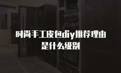 时尚手工皮包diy推荐理由是什么级别