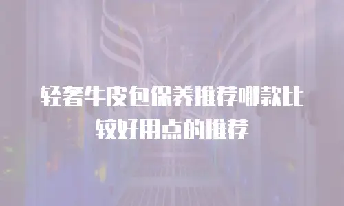 轻奢牛皮包保养推荐哪款比较好用点的推荐