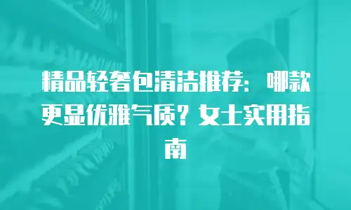 精品轻奢包清洁推荐：哪款更显优雅气质？女士实用指南