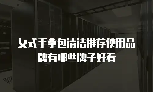 女式手拿包清洁推荐使用品牌有哪些牌子好看