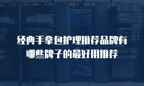 经典手拿包护理推荐品牌有哪些牌子的最好用推荐