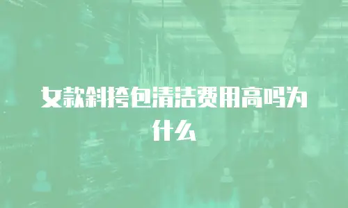 女款斜挎包清洁费用高吗为什么