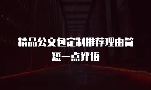 精品公文包定制推荐理由简短一点评语