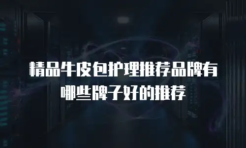 精品牛皮包护理推荐品牌有哪些牌子好的推荐