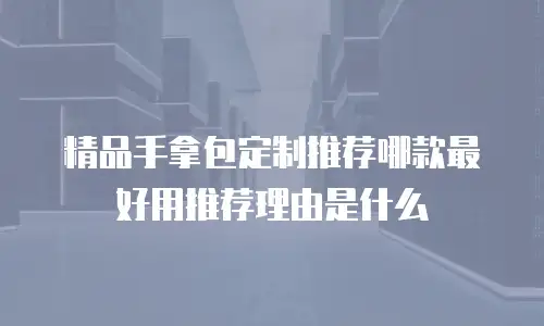 精品手拿包定制推荐哪款最好用推荐理由是什么