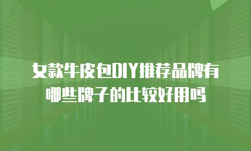 女款牛皮包DIY推荐品牌有哪些牌子的比较好用吗