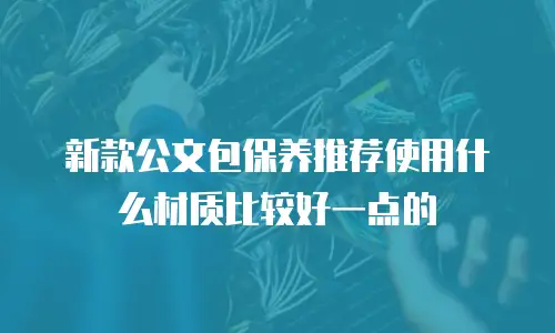 新款公文包保养推荐使用什么材质比较好一点的