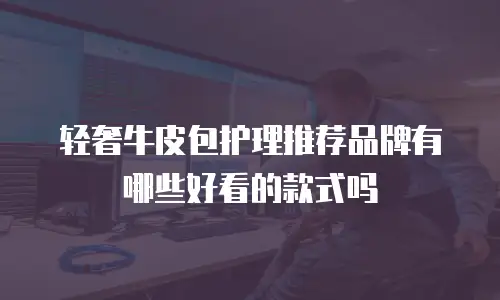 轻奢牛皮包护理推荐品牌有哪些好看的款式吗