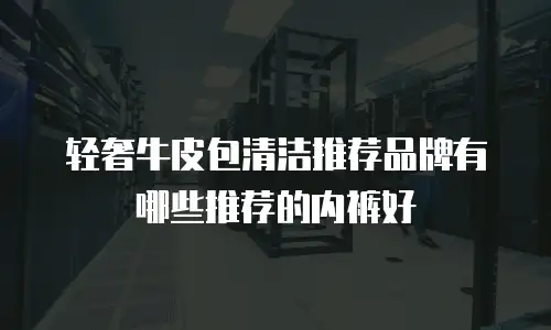 轻奢牛皮包清洁推荐品牌有哪些推荐的内裤好