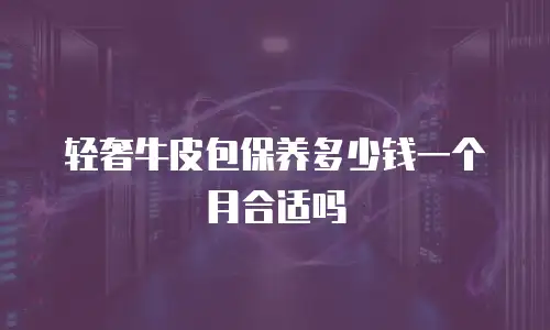 轻奢牛皮包保养多少钱一个月合适吗