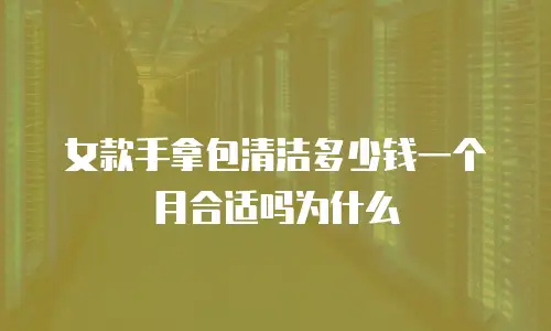 女款手拿包清洁多少钱一个月合适吗为什么