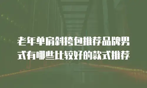 老年单肩斜挎包推荐品牌男式有哪些比较好的款式推荐