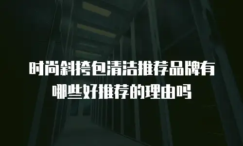 时尚斜挎包清洁推荐品牌有哪些好推荐的理由吗