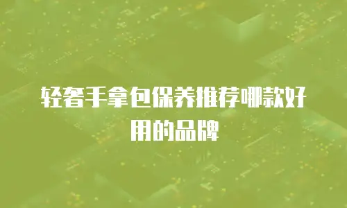 轻奢手拿包保养推荐哪款好用的品牌