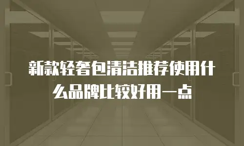新款轻奢包清洁推荐使用什么品牌比较好用一点