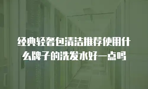 经典轻奢包清洁推荐使用什么牌子的洗发水好一点吗