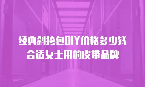 经典斜挎包DIY价格多少钱合适女士用的皮带品牌