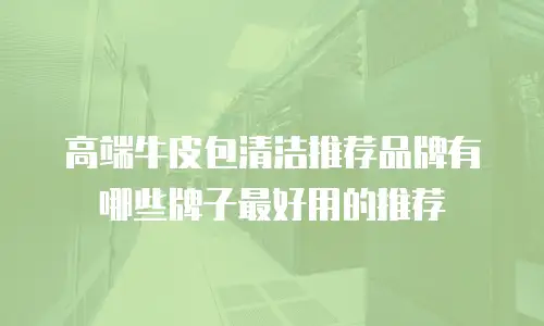 高端牛皮包清洁推荐品牌有哪些牌子最好用的推荐