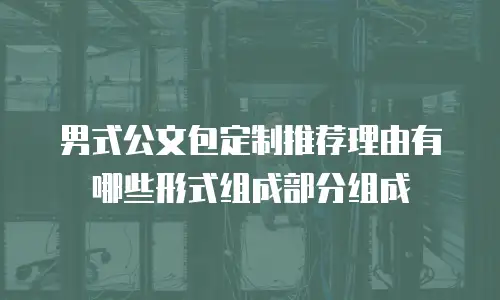 男式公文包定制推荐理由有哪些形式组成部分组成