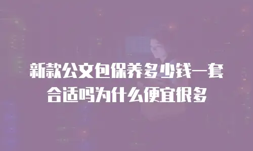 新款公文包保养多少钱一套合适吗为什么便宜很多