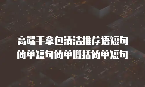 高端手拿包清洁推荐语短句简单短句简单概括简单短句