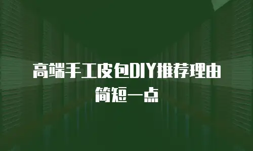 高端手工皮包DIY推荐理由简短一点