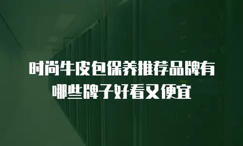 时尚牛皮包保养推荐品牌有哪些牌子好看又便宜